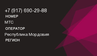 9176902988